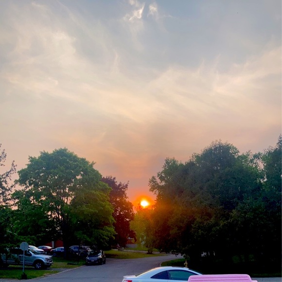 Meet your Posher, Halayna - Picture 1 of 1